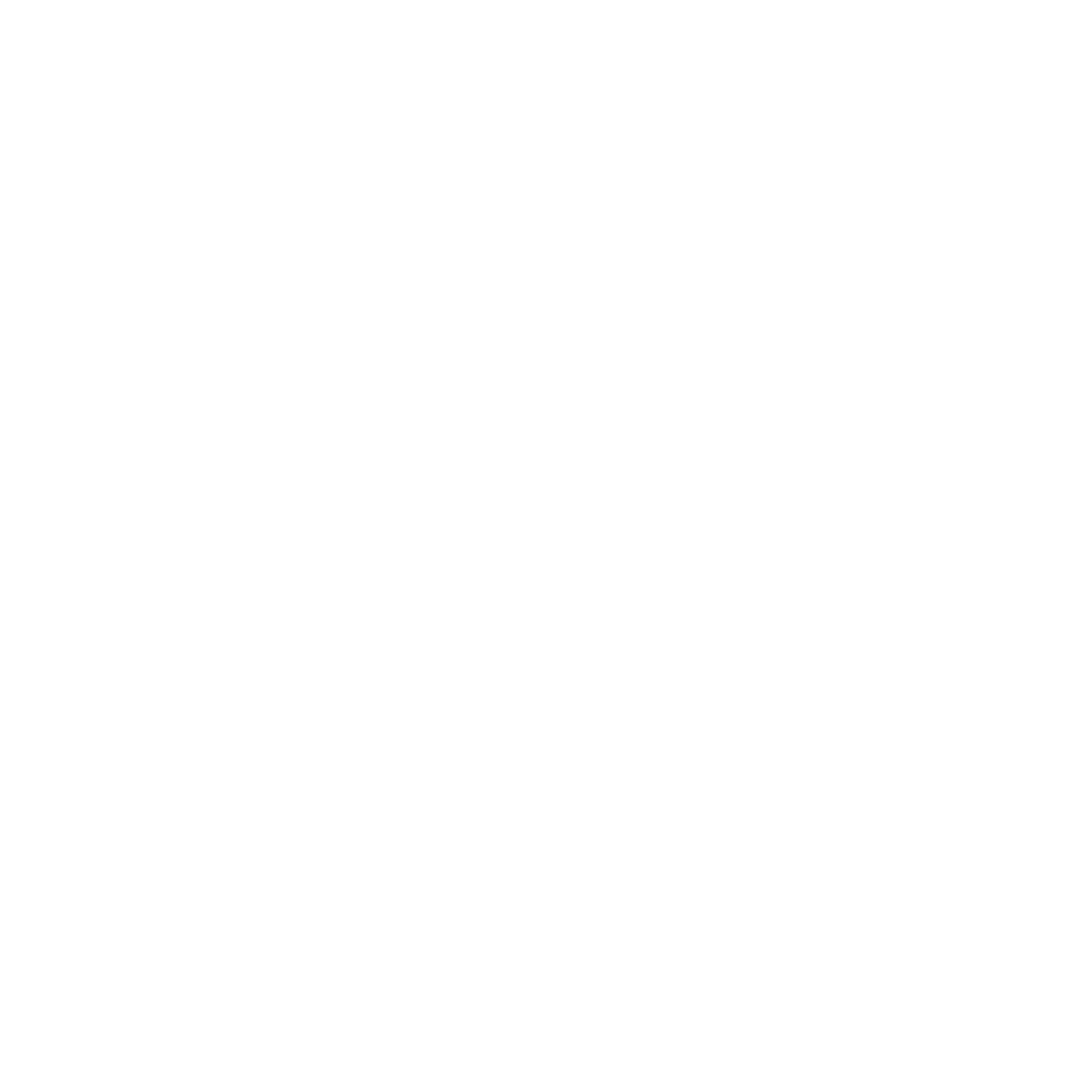 VOCAL LESSON